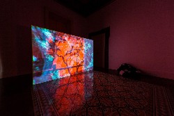 Real Estate Astrology, 2015, installation, film (3D anaglyph), color, sound, 21', 3d projector, 2 silkscreen panels (cm 200 x 163 x 4, each), unique piece