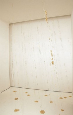 Showers,
2002,
installation, rice, monofilaments,
ed. 3