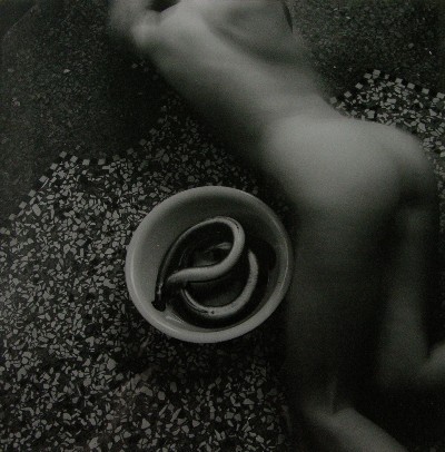 Francesca Woodman,
Untitled (Eel series), Rome,
1977-78
gelatin silver print,
cm 22 x 22 
