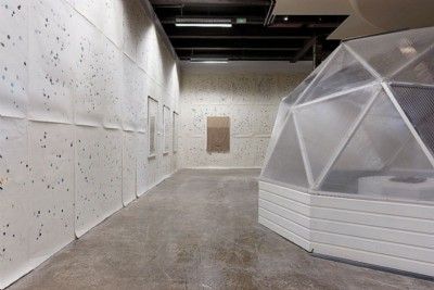 Mynah Dilemma,
2012
exhibition view,
Palais de Tokyo, Paris, France,
photo: Aurlien Mole