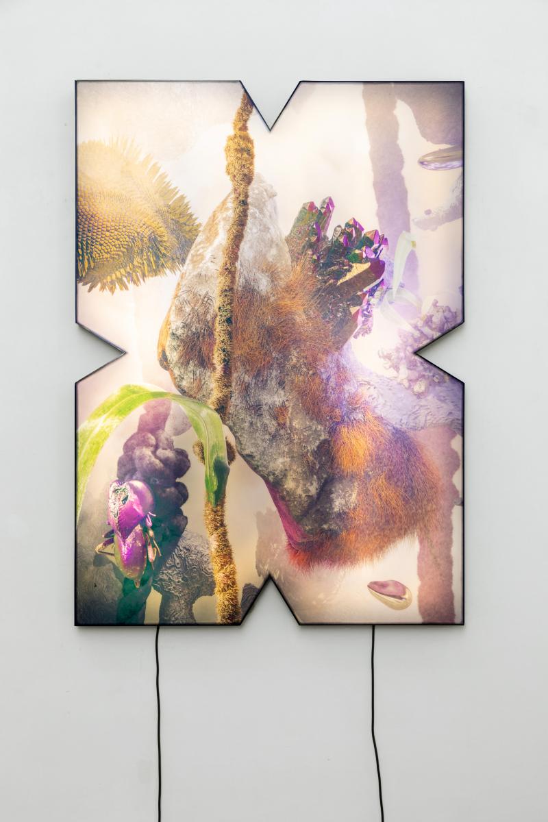 Antimundo (0A), 2021, print on plexiglass in lightbox, cm 140 x 100
