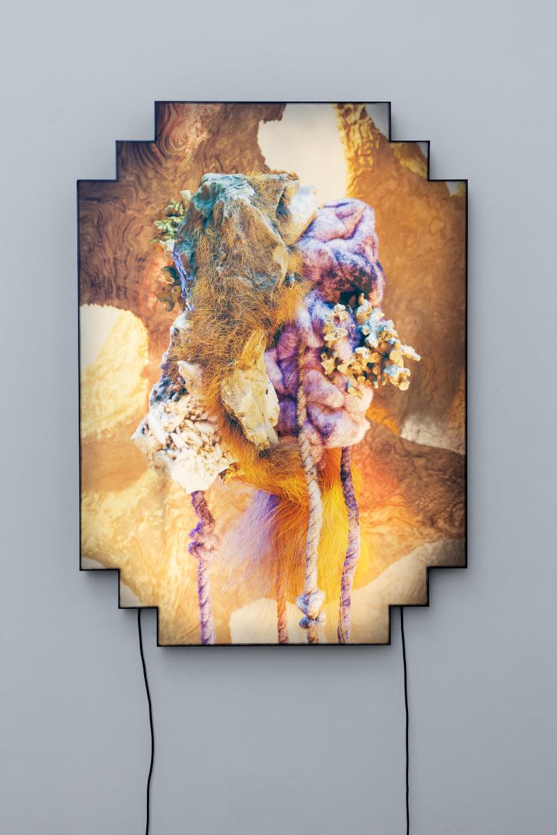 Antibeing (0A), 2021, print on plexiglass in lightbox, cm 140 x 100