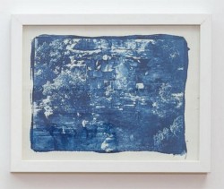 Untitled, 2013, cianotype, cm 28 x 35,5 (framed), unique piece 