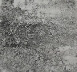Untitled,
2013,
artist book, photos transferred by trichloroethylene on handmade cotton paper, 7 sheets,
cm 25 x 25 (each),
ed. 3 ,
detail