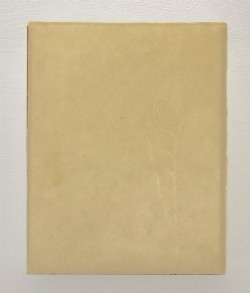 CaCO3 (IV),
2014,
lit box, handmade watermark paper, wood, plexiglass,
cm 25 x 20 x 10,5