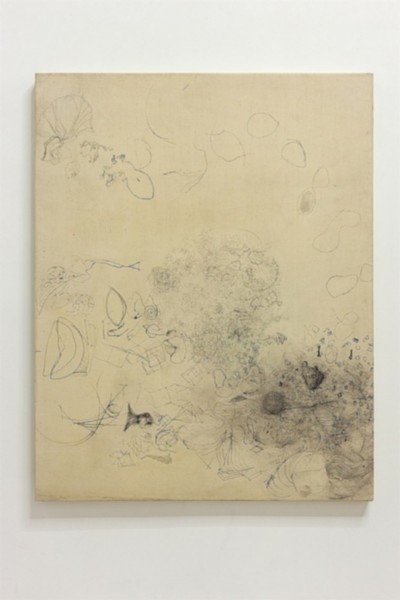 As Yet Unnamed drawings-Poison,
1988-1990,
ink on canvas,
cm 99,5 x 126 x 5,
photo: Danilo Donzelli