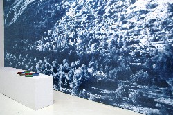 Maxime Rossi, Kemosabe, 2013, exhibition view