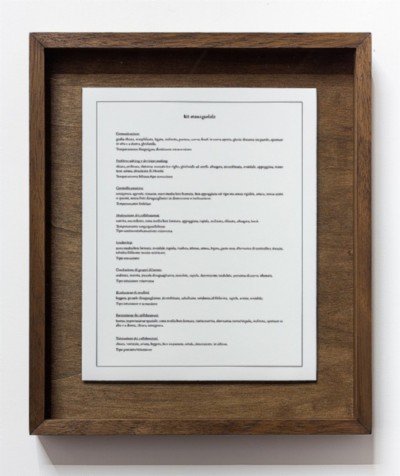Kit manageriale (Managerial kit), 2018, print on cotton paper, cm 30 x 24 (unframed), cm 40 x 34,5 (framed), ed. 3 