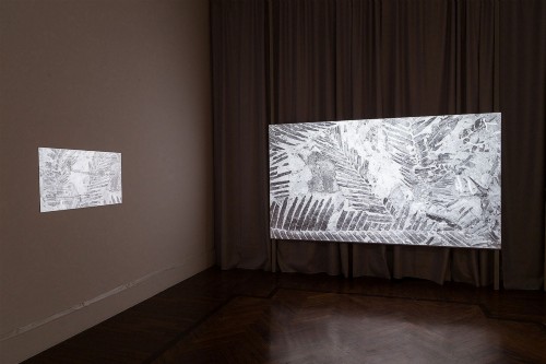 Lina Selander, 2015, exhibition view