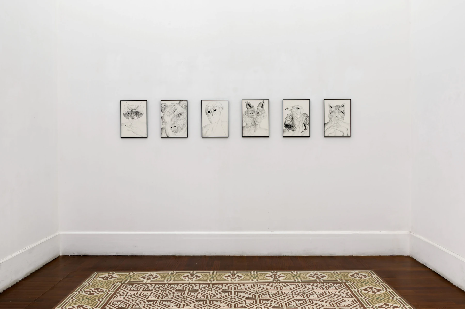 Luca Gioacchino Di Bernardo, exhibition views