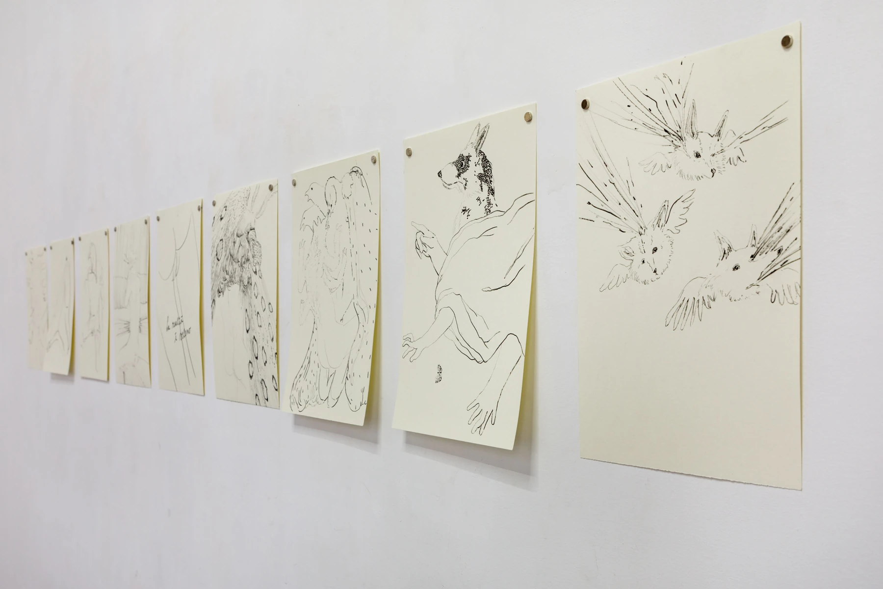 Luca Gioacchino Di Bernardo, exhibition views