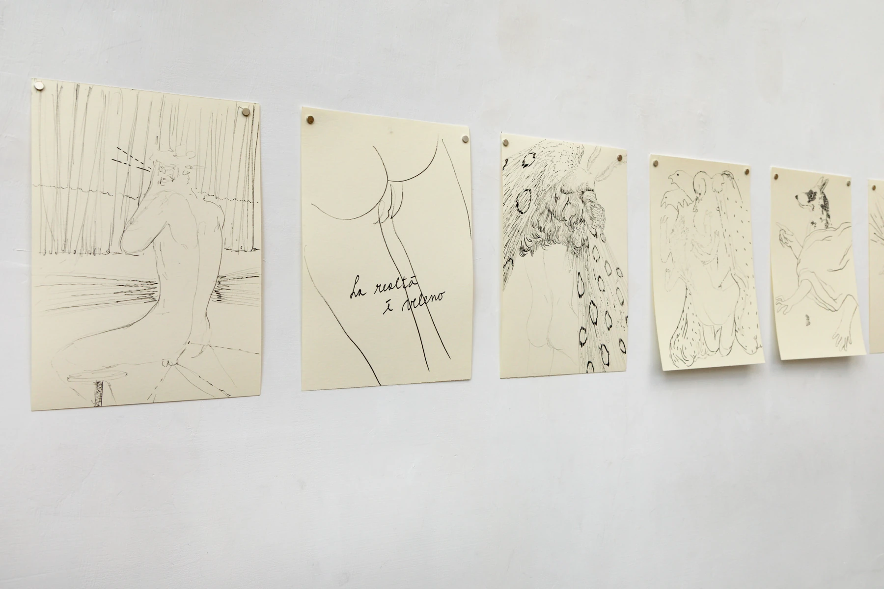 Luca Gioacchino Di Bernardo, exhibition views